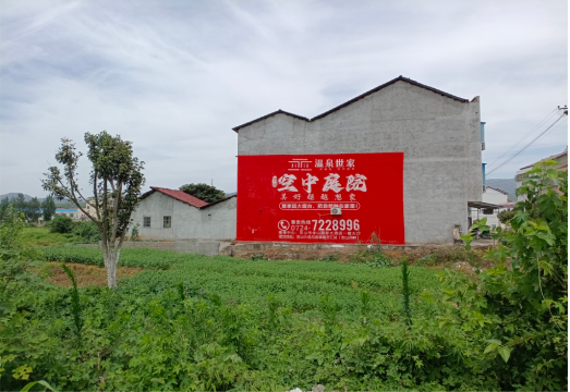子洲做墙体广告的意义