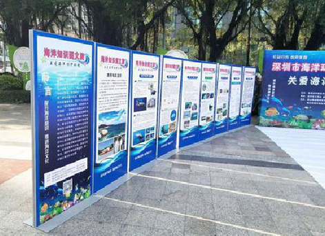 子洲KT板的种类和知识。